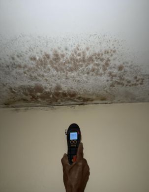 Mold Remediation in Palm Beach Gardens, FL (3)