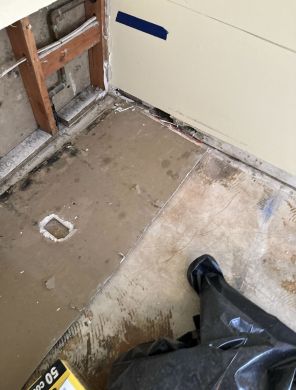 Mold Remediation in Palm Beach Gardens, FL (2)