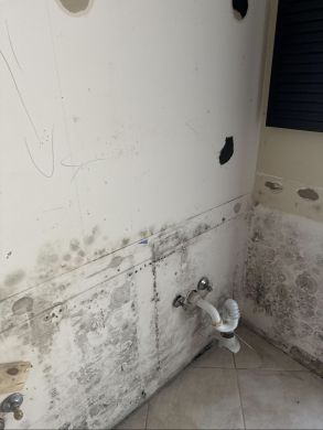 Mold Remediation in Palm Beach Gardens, FL (4)