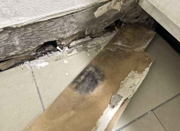 Mold Removal in Boca Raton, FL (3)