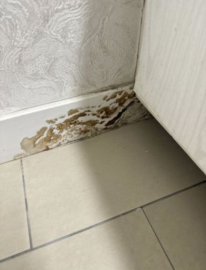 Mold Removal in Boca Raton, FL (1)