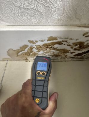 Mold Removal in Boca Raton, FL (2)