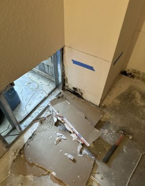 Mold Removal in Royal Palm Beach, FL (3)