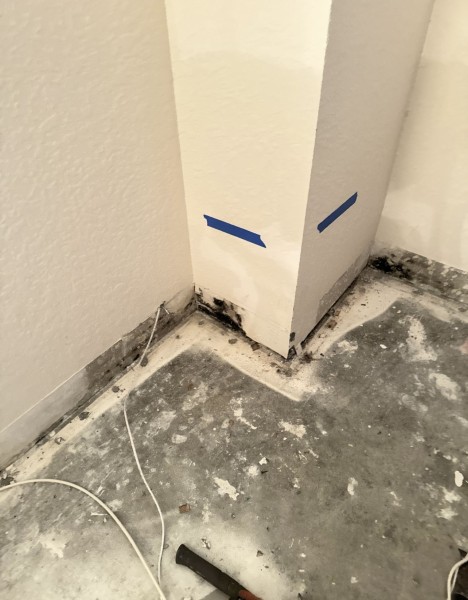 Mold Removal in Royal Palm Beach, FL (7)
