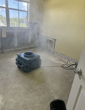 Mold Removal in Royal Palm Beach, FL (5)