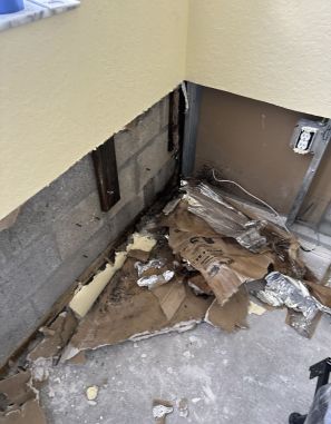 Mold Removal in Royal Palm Beach, FL (4)