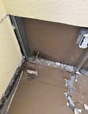 Mold Removal in Royal Palm Beach, FL (6)